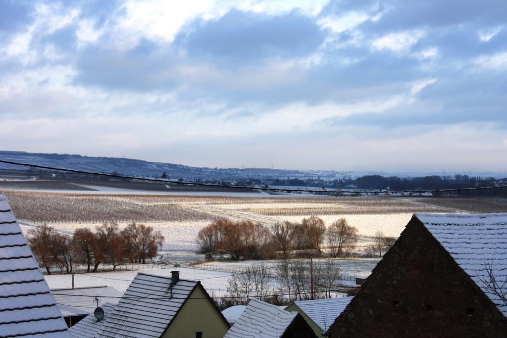 Gites Des Dix Vins Dangolsheim Bagian luar foto