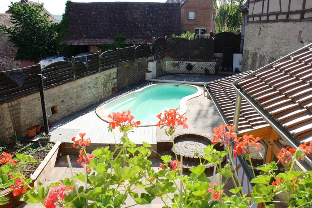 Gites Des Dix Vins Dangolsheim Bagian luar foto